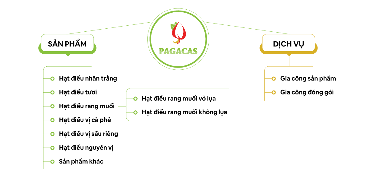 Sản phẩm và dịch vụ của Pagacas Sản phẩm và dịch vụ của Pagacas