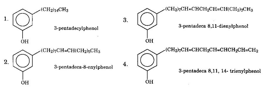 4 hợp chất cùng tồn tại của cardanol