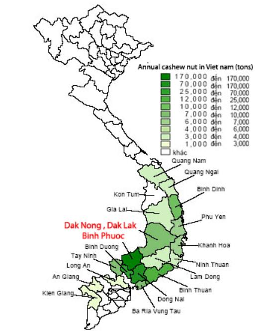 Bản đồ phân bố và sản lượng hạt điều tại Việt Nam