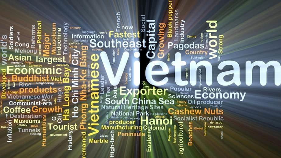 Quá trình phát triển của ngành điều Việt Nam